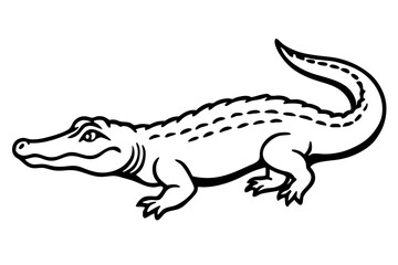 Crocodile Vector line art