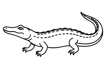 Crocodile Vector line art
