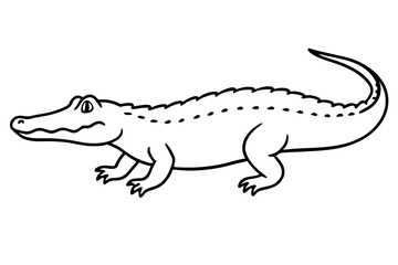 Crocodile Vector line art