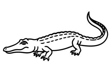 Crocodile Vector line art