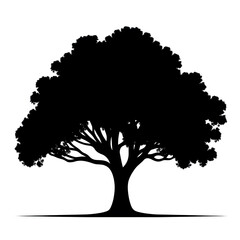 Solitary Oak Silhouette: A striking silhouette of a majestic oak tree stands in stark contrast, its dense canopy and sturdy trunk creating a dramatic image.