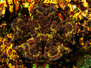 Colorful Abstract Fractal Design