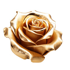 Golden metallic rose isolated on a transparent background.