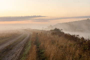 A serene landscape with a winding road leading through a morning meadow. The rays of the rising sun illuminate a small river flowing nearby.