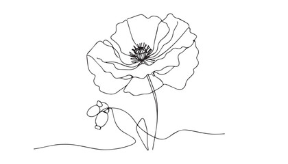 Continuous one single minimal line drawing poppy flower