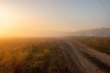 A quiet, hazy view of a deserted agricultural field in a village at dawn, illuminated by the golden...