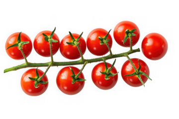 High resolution fresh cherry tomatoes on vine, red ripe vegetables, healthy eating, culinary ingredient, food photography isolated on transparent background