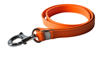 A insulated dog leash, white background --ar 16:9