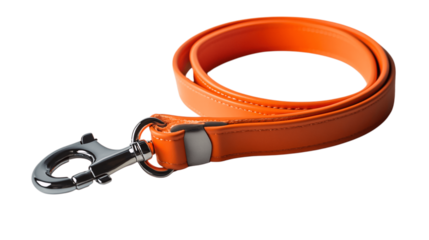 A insulated dog leash, white background --ar 16:9