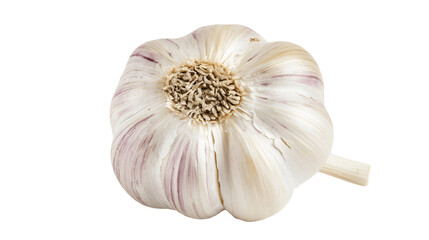 A textured garlic bulb, white background --ar 16:9
