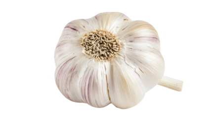 A textured garlic bulb, white background --ar 16:9