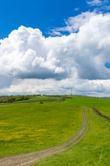 Winding dirt road crossing a vibrant green meadow in the czech countryside under a cloudy sky