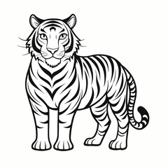 tiger vector illustration