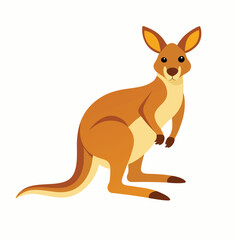 kangaroo cartoon illustration
