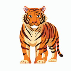 tiger vector illustration