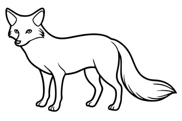 Elegant Fox Line Art