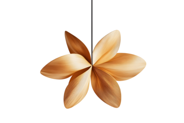 Elegant golden flower-like decoration hanging against a stark black backdrop
