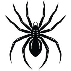 spider vector sihouette
