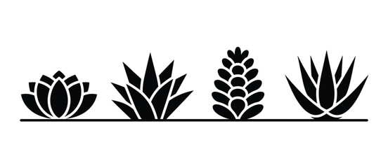 Succulent plant icons black silhouette set