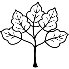 Obraz premium Black and White Fig Tree Illustration Large Lobed Leaves