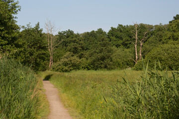 Cure Park in Bad Schwartau