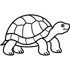 Geometric Tortoise Vector