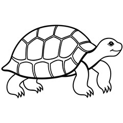 Geometric Tortoise Vector