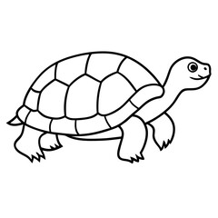Geometric Tortoise Vector