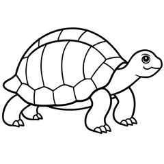 Geometric Tortoise Vector