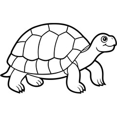 Geometric Tortoise Vector