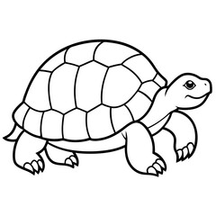 Geometric Tortoise Vector