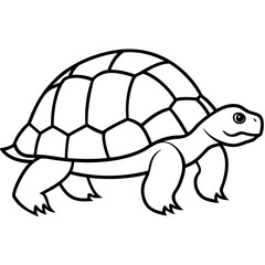 Geometric Tortoise Vector
