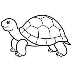 Geometric Tortoise Vector