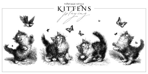 Set of cute kittens playing with butterflies and bird, all isolated on white background. Vintage ink drawing style vector illustration. © Anna