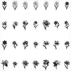 Daffodil Flower SVG Bundle