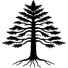 Black Silhouette Cedar Tree with Exposed Roots White Background