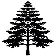 Fototapeta premium Black Silhouette Detailed Cedar Tree Illustration tree silhouette 1
