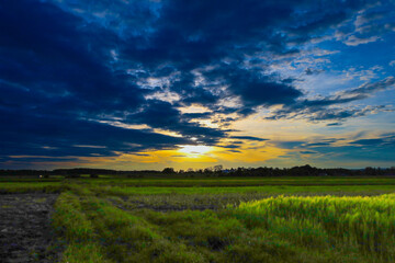 A dramatic sunset over a wide field, where the sky transitions from blue to golden hues. Dark...