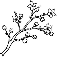 Detailed Black and White Cherry Blossom Branch Illustration