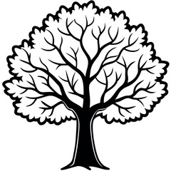 Obraz premium Large Black and White Elm Tree Illustration Detailed Branch Texture