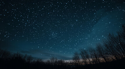 Naklejka premium starry night sky