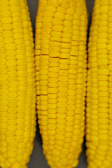 Vertical close-up photo of yellow peeled corn cobs with a clear texture of large grains lying in a row on a dark background. The concept of healthy nutrition, natural iron, corn cultivation. High
