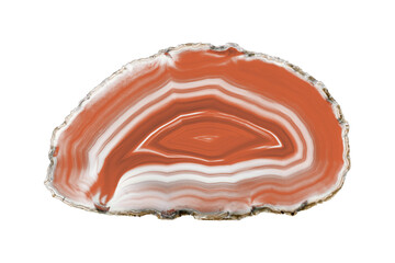 A painted brown agate slice with white veins on a white background suits decor and craft projects. Its layered texture adds a natural elegance to various designs.