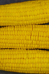 Close-up of yellow peeled ears of corn with large grains lying horizontally on a dark background in the center. The concept of healthy nutrition, natural iron, corn cultivation. High quality photo