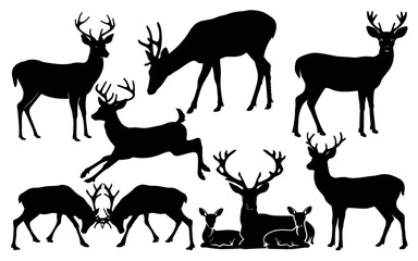 Fototapeta premium Vector art of a collection of majestic deer silhouettes, isolated on white background, showcasing various poses and antler sizes in elegant black vector art