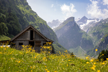 swiss alpine meadow at Seealpsee