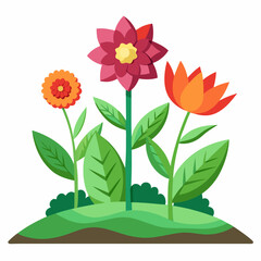 White Background Flower Cutout