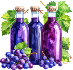 포도 잼 일러스트