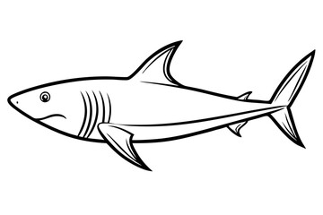 Shark Outline Illustration