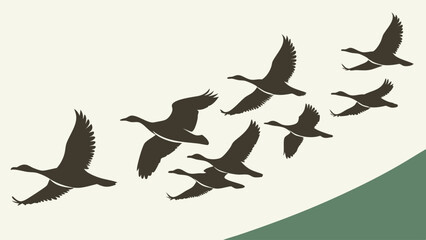 Silhouette flying geese flock in V formation against sky. Bird migration journey in nature wildlife freedom teamwork concept.